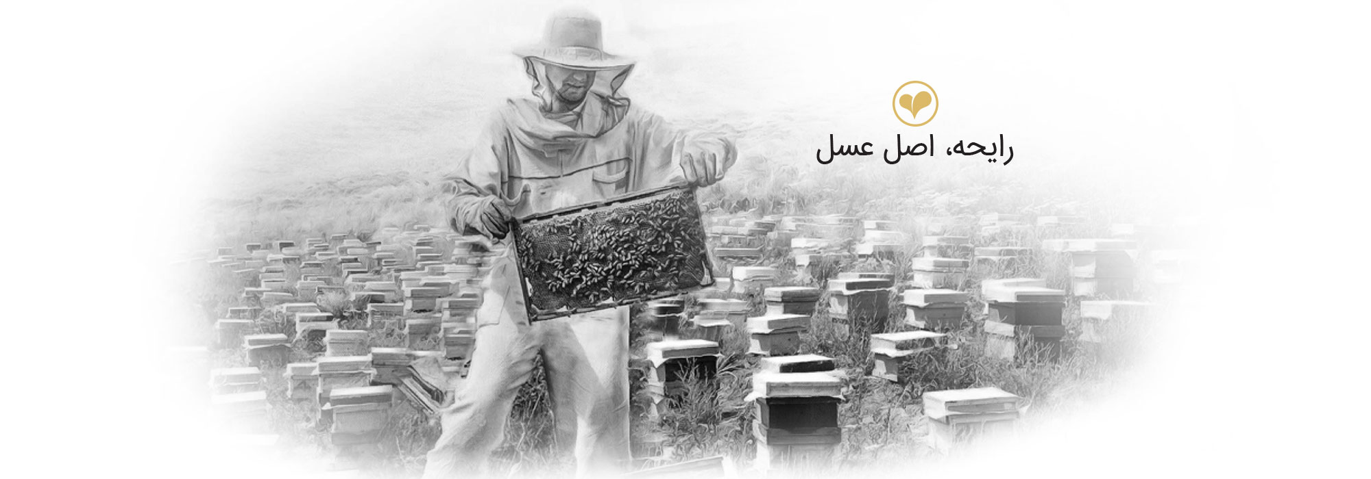 Rayehehoney beekeeping