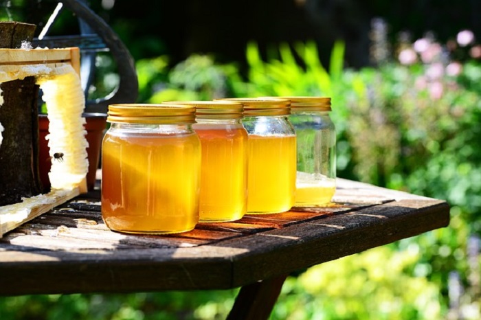 از کدام عسل برای مقابله با تب یونجه استفاده کنم؟