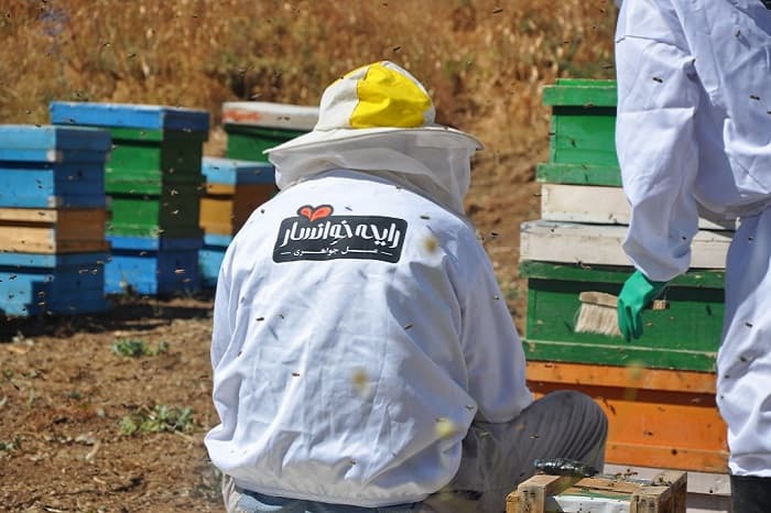 عسل، کم هزینه تر و ماندگارتر در زمین
