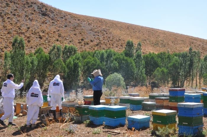 فروشگاه عسل و خشکبار آریچی